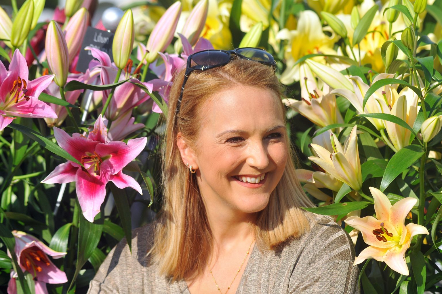 Harrogate Autumn Flower Show 13th 15th September 2024 Newby Hall